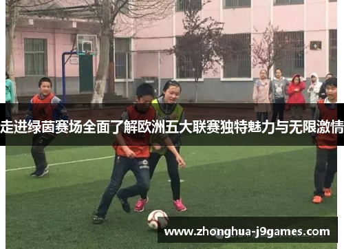走进绿茵赛场全面了解欧洲五大联赛独特魅力与无限激情 走进绿茵赛场全面了解欧洲五大联赛独特魅力与无限激情